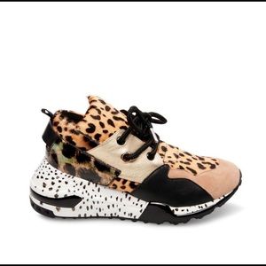 Steve Madden leopard print “Cliff Animal” Sneakers